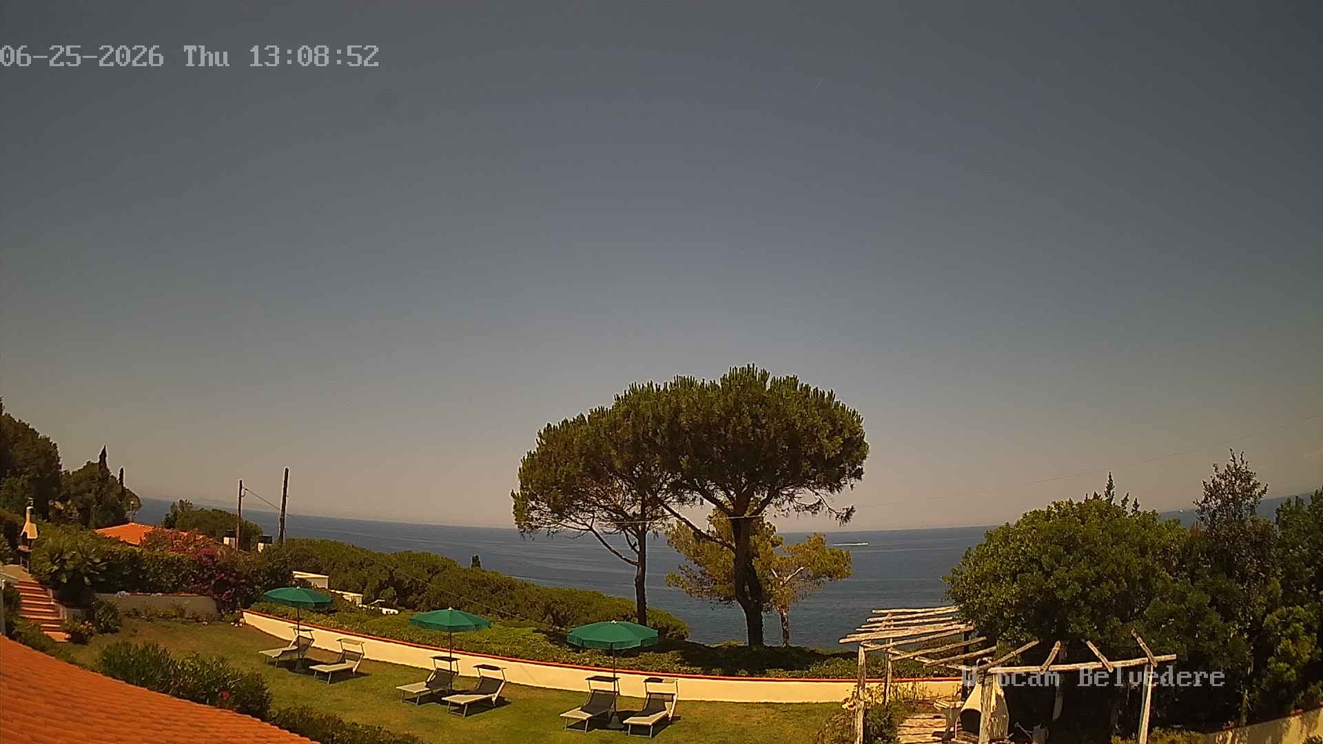 Telecamera Live