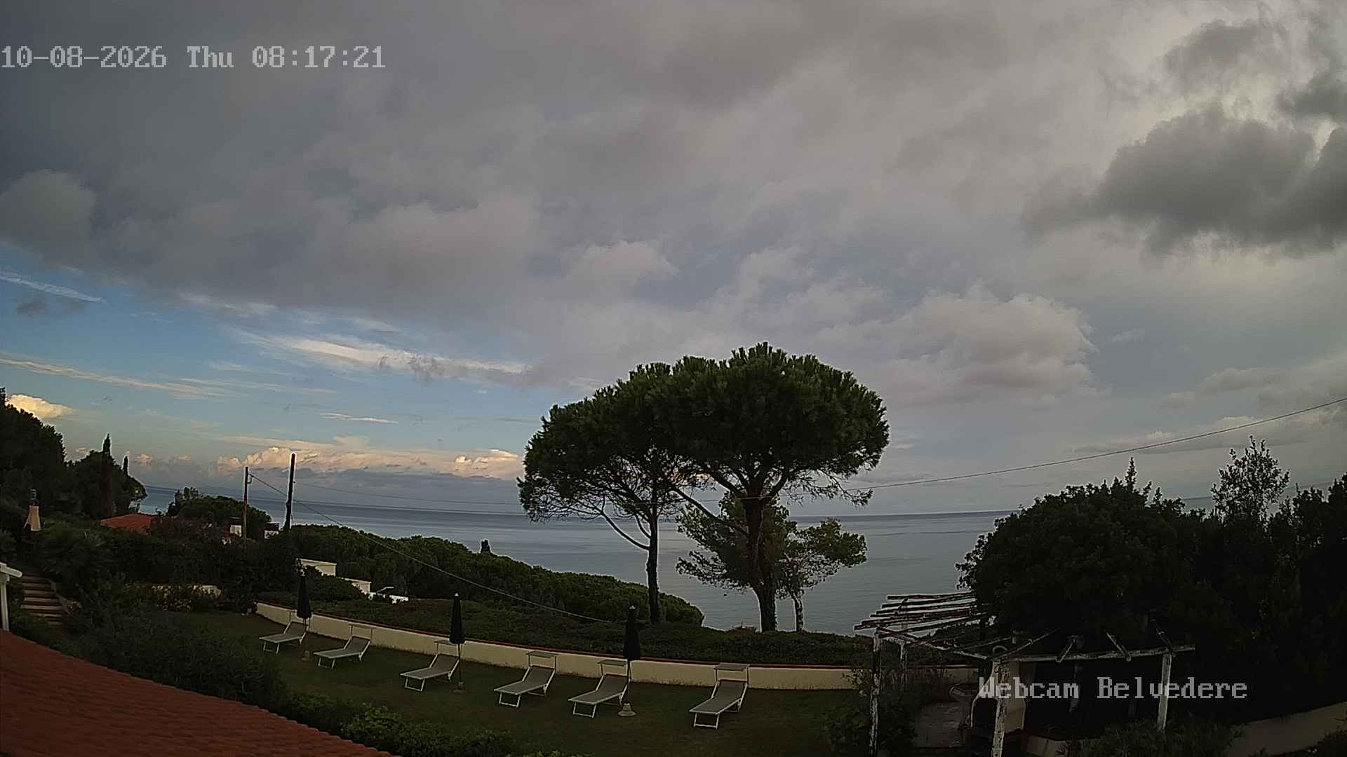 Telecamera Live